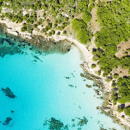 Marco's - Happy كوغنانا